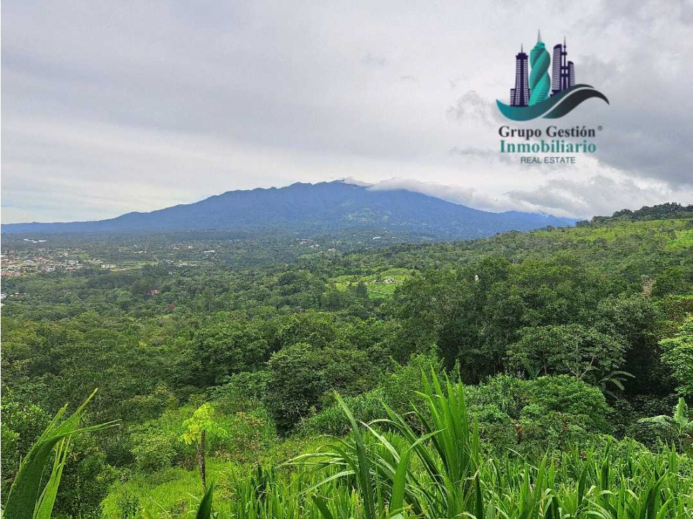 VENDO LOTES CON HERMOSAS VISTAS JARAMILLO BOQUETE — foto 3