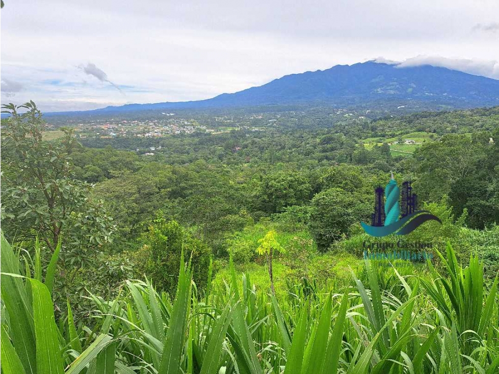 VENDO LOTES CON HERMOSAS VISTAS JARAMILLO BOQUETE