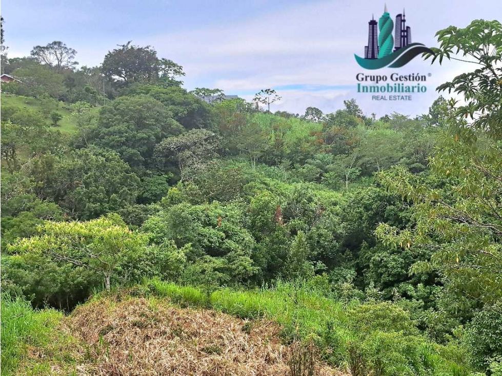 VENDO LOTES CON HERMOSAS VISTAS JARAMILLO BOQUETE — foto 5