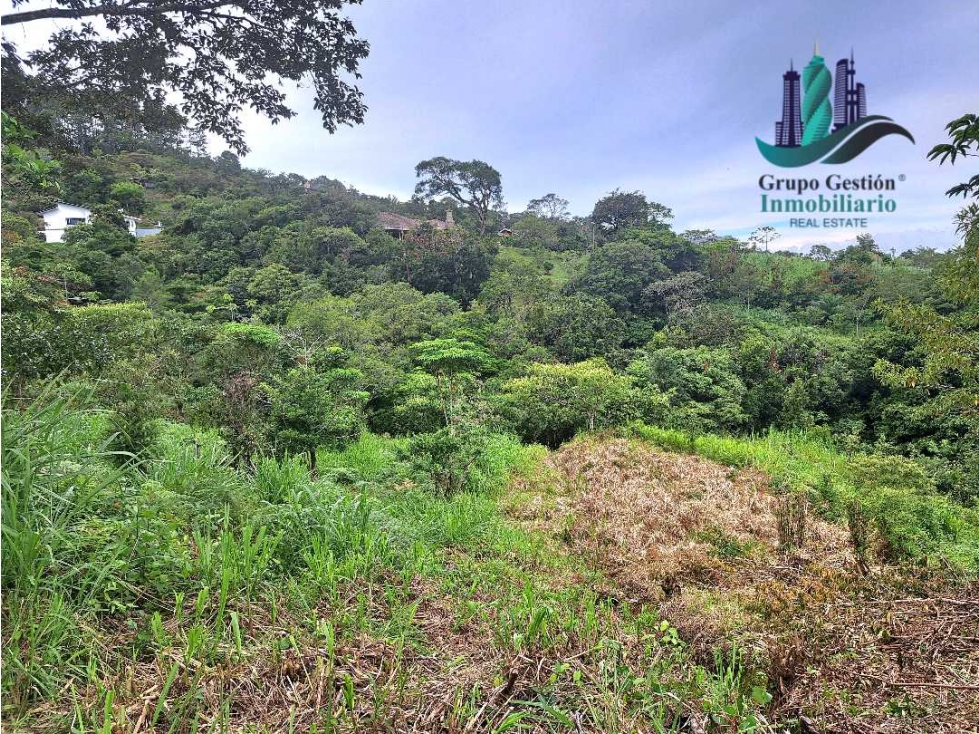 VENDO LOTES CON HERMOSAS VISTAS JARAMILLO BOQUETE — foto 6