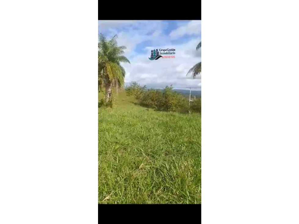 VENDO 11 HAS EN SOLOY CON TÍTULO - 2
