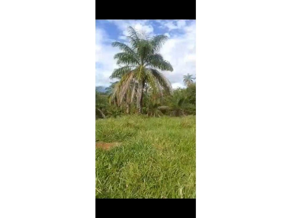 VENDO 11 HAS EN SOLOY CON TÍTULO - 5