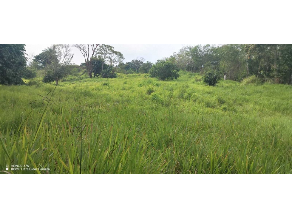 VENDO FINCA DE 12 HA caizan - 1