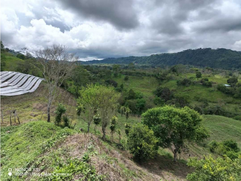 VENDO FINCA DE 12 HA caizan - 3