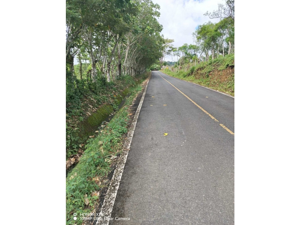VENDO FINCA DE 12 HA caizan - 6