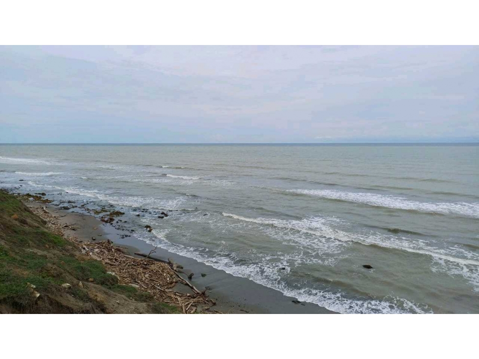 Vendo 1.347 hectáreas en Puerto Escondido Córdoba al pie de la playa - 1