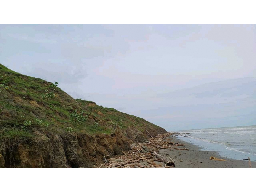 Vendo 1.347 hectáreas en Puerto Escondido Córdoba al pie de la playa - 4