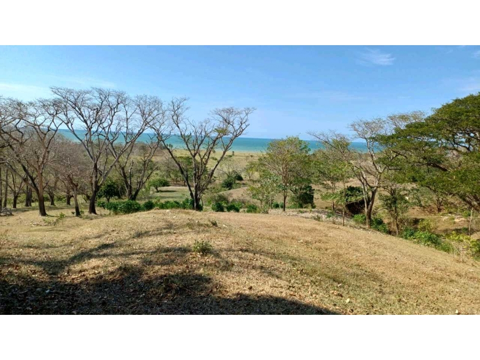 Vendo 1.347 hectáreas en Puerto Escondido Córdoba al pie de la playa - 5