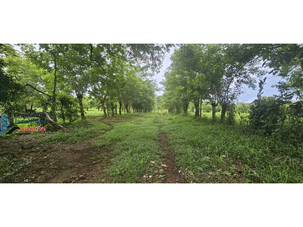 VENDO 14000 METROS EN.URB SAN ANTONIO - 3