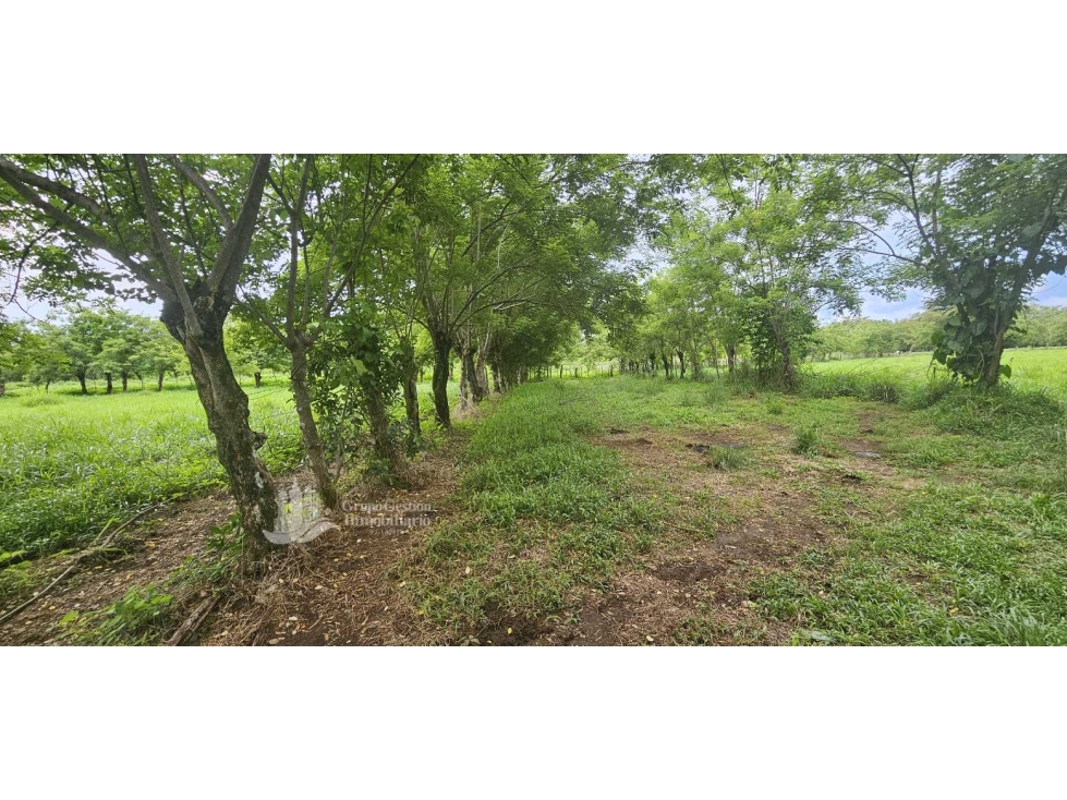 VENDO 14000 METROS EN.URB SAN ANTONIO - 2