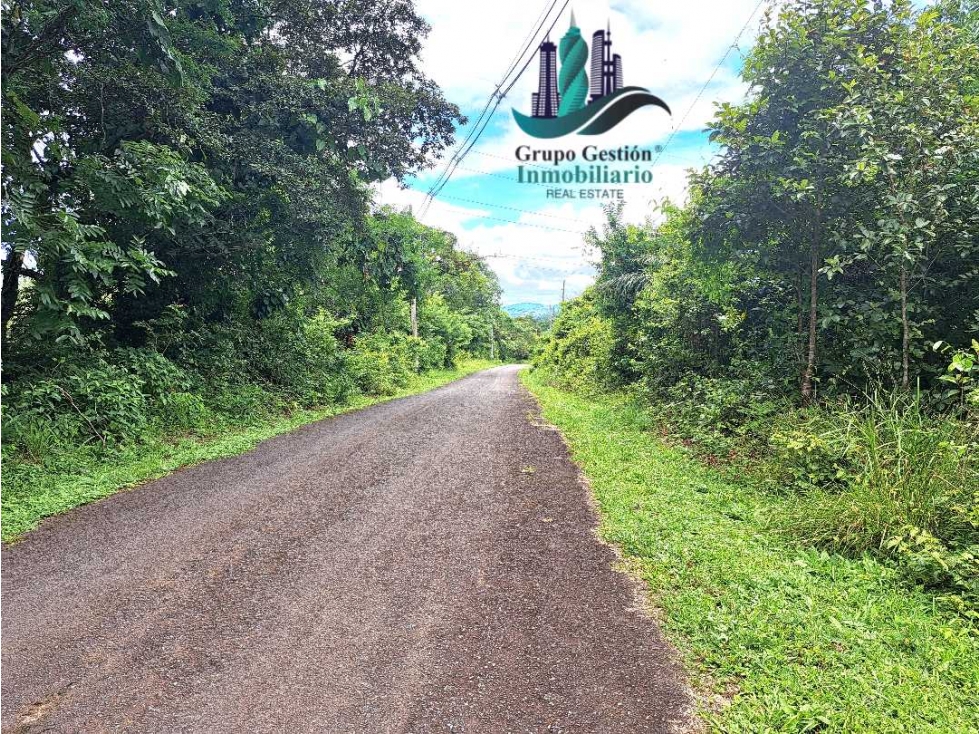 VENDO 14 hectareas +4370mts via CALDERA-.Chiriquicito - 1