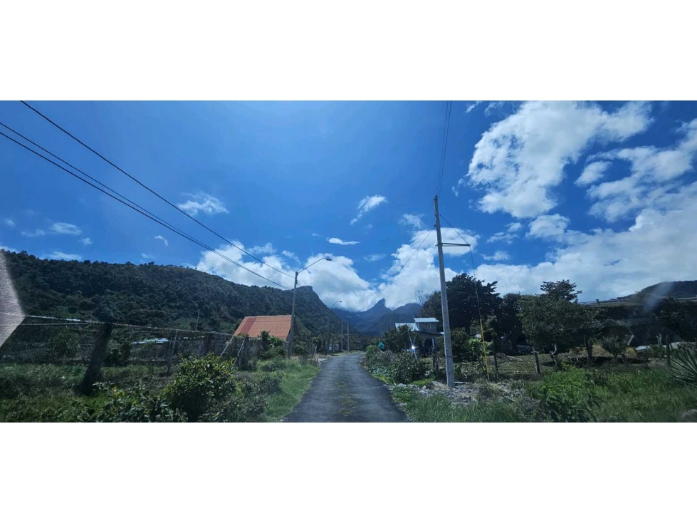 VENDO 1800 M2 EN PASO.ANCHO DERECHO POSESORIO - 4