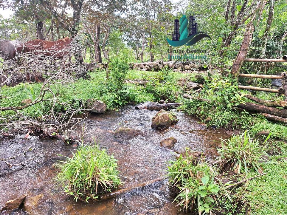 VENDO 18 HECTARES Y MEDIA ROVIRA - 2