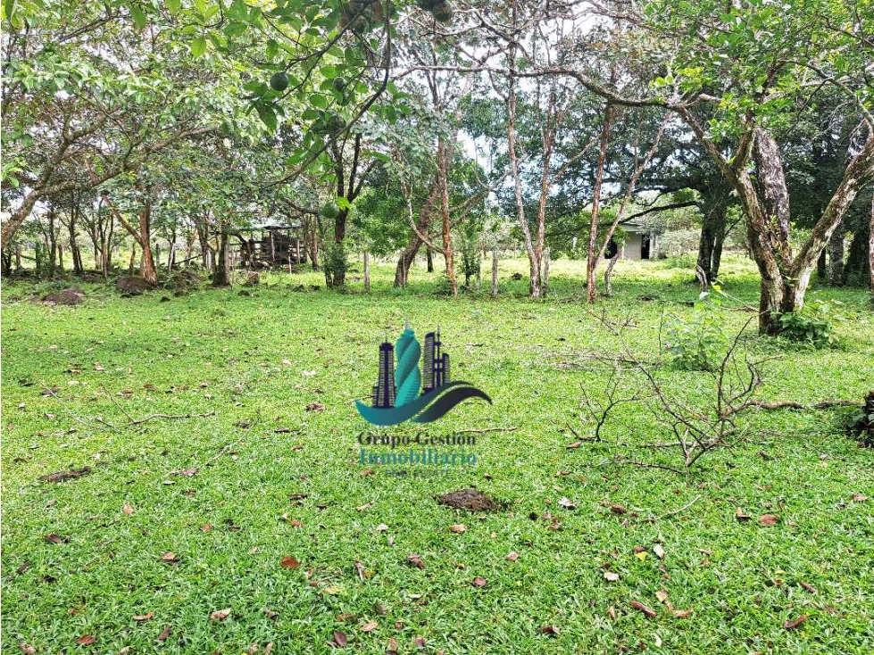 VENDO 18 HECTARES Y MEDIA ROVIRA - 3