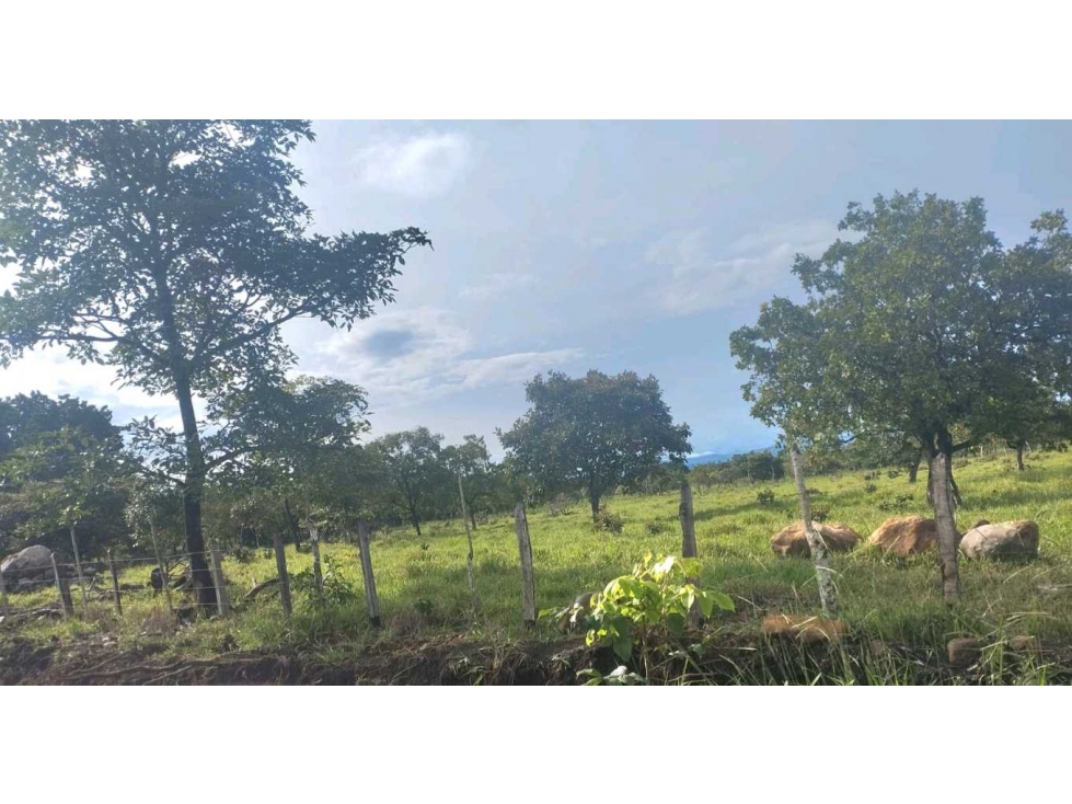 VENDO 18.LOTES DESDE 800mts El.FRANCES — foto 2