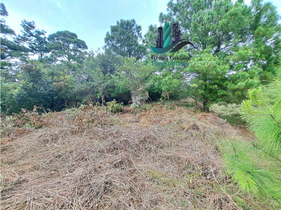VENDO 1HAS + VOLCANCITO — foto 6