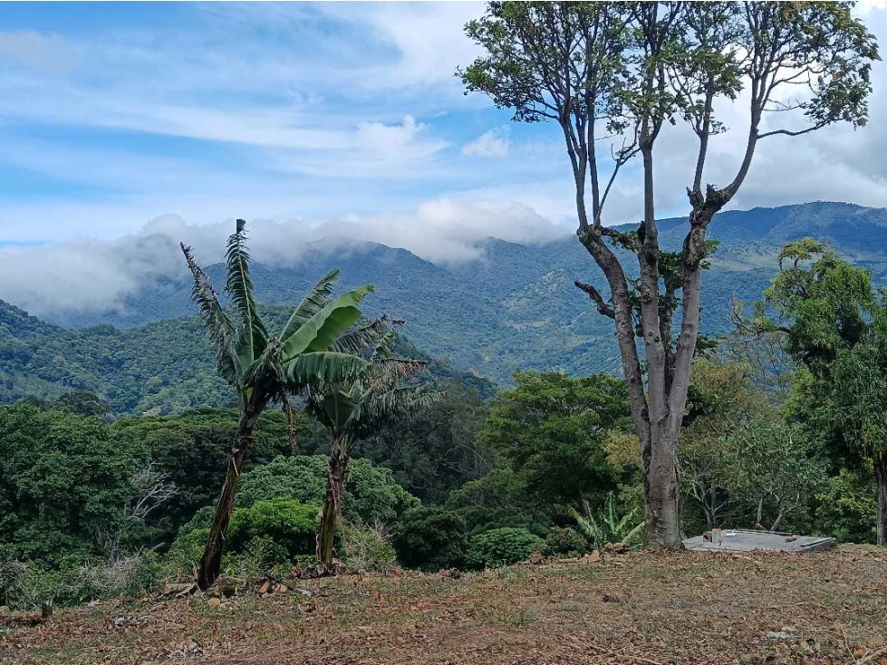 VENDO 1HECTAREA CON VISTAS EL SALTO