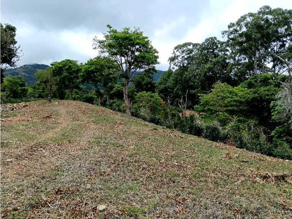 VENDO 1HECTAREA CON VISTAS EL SALTO — foto 4