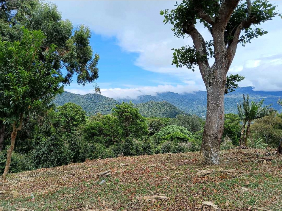 VENDO 1HECTAREA CON VISTAS EL SALTO — foto 5