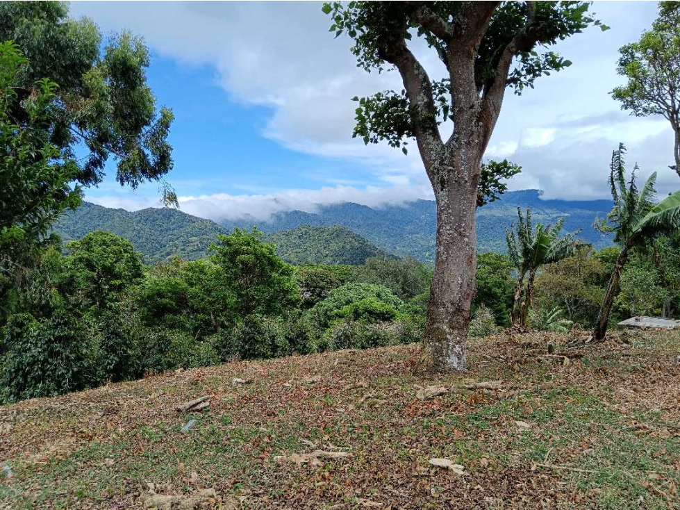VENDO 1HECTAREA CON VISTAS EL SALTO — foto 6
