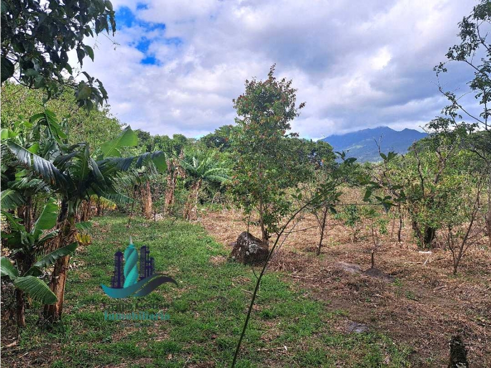 VENDO 2028MTS ALTO.BOQUETE — foto 2