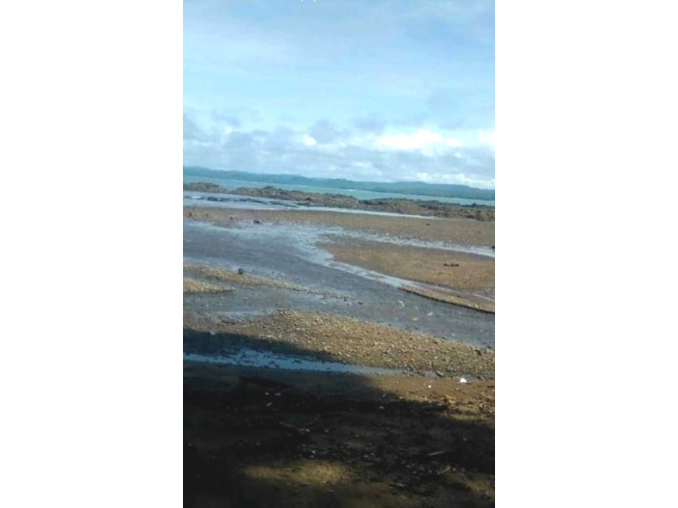 VENDO 20 HECTAREAS CON PLAYA - 3