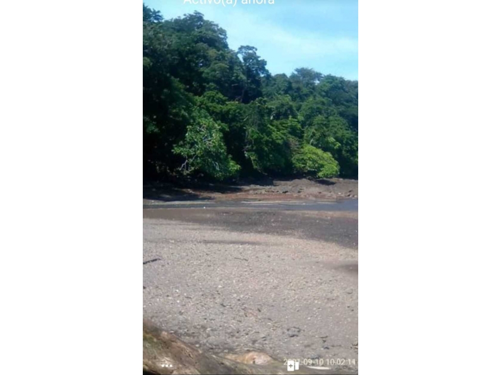 VENDO 20 HECTAREAS CON PLAYA - 4