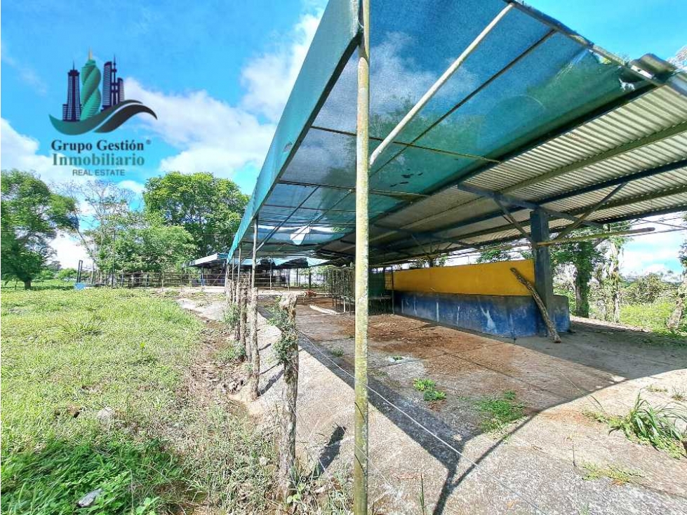 VENDO 28HECTARES LECHERIA - 1