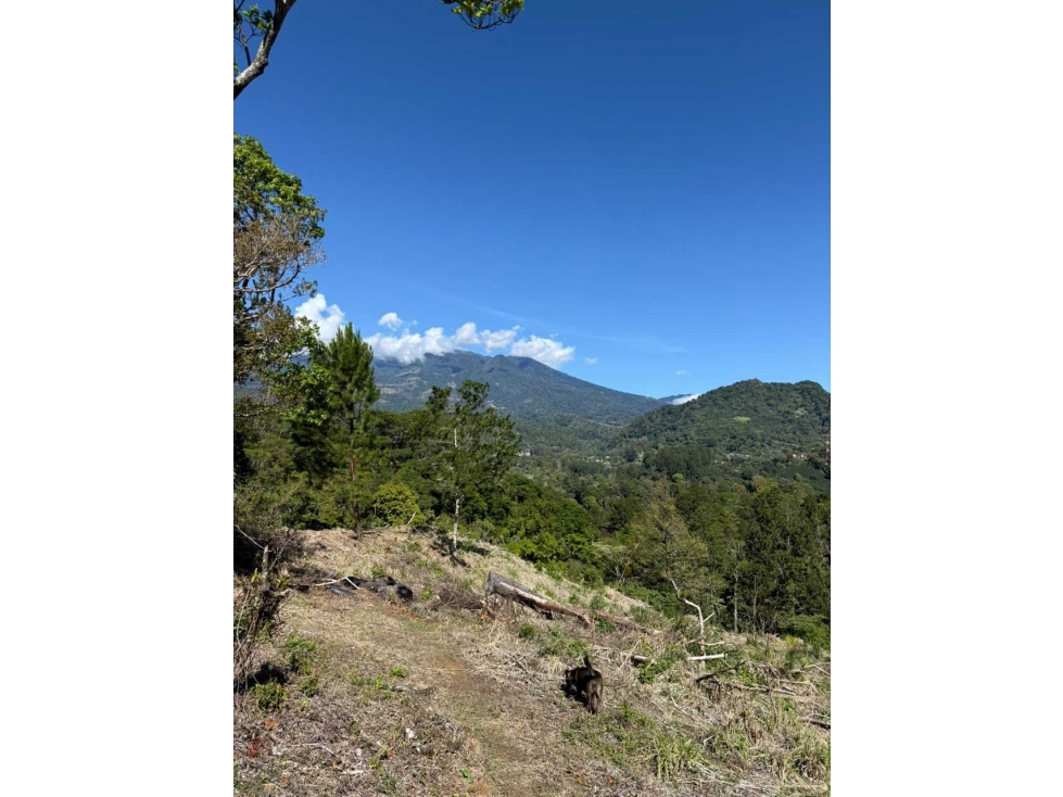VENDO 2 ULTIMOS LOTES JARAMILLO - 2