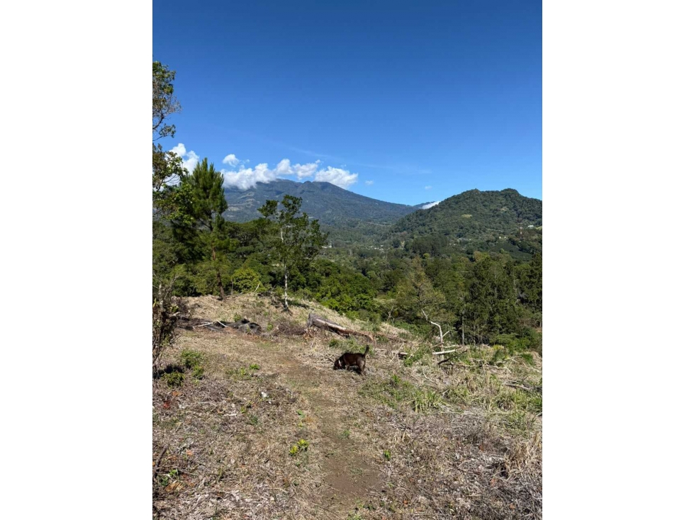 VENDO 2 ULTIMOS LOTES JARAMILLO - 4