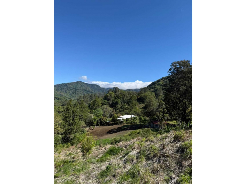 VENDO 2 ULTIMOS LOTES JARAMILLO - 5