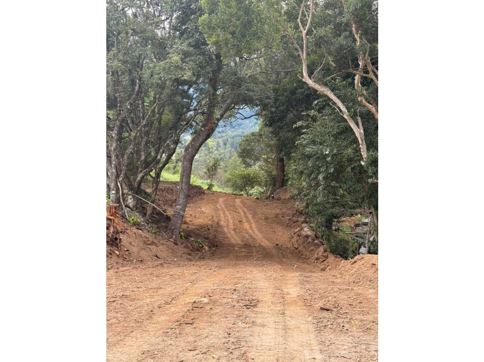 VENDO 2 ULTIMOS LOTES JARAMILLO - 6