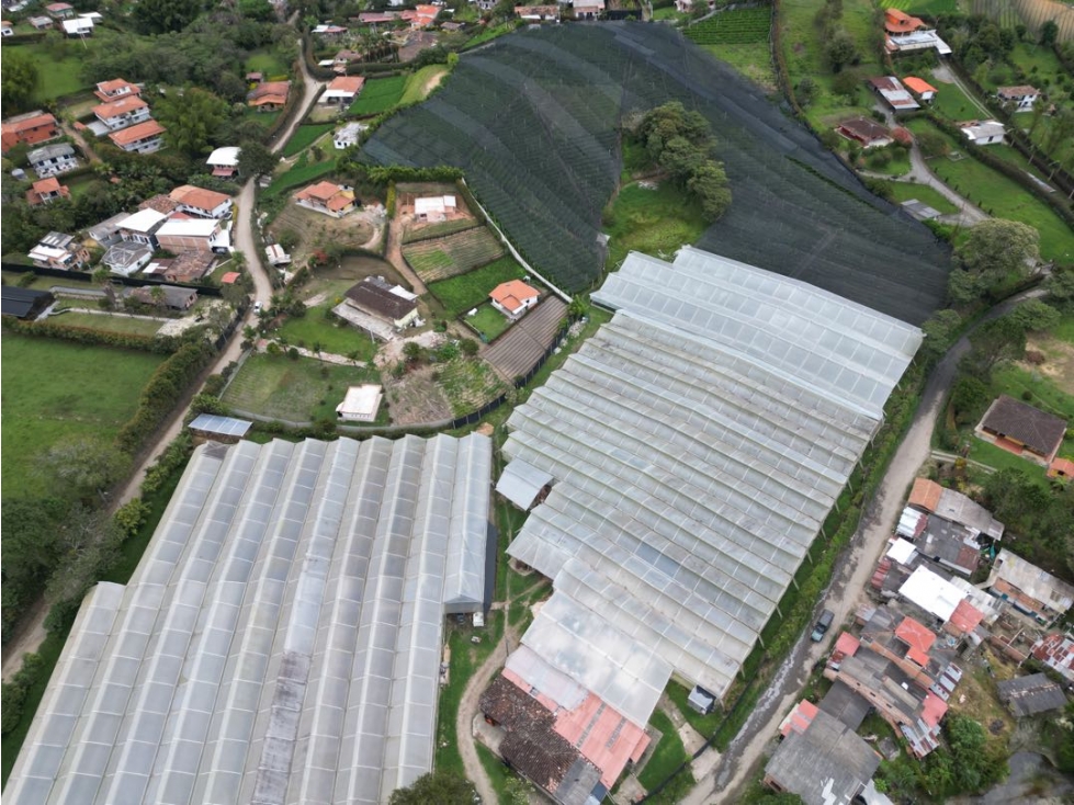 Vendo 33.000 m² de Tierra en Oriente Antioqueño, montada en floricultu