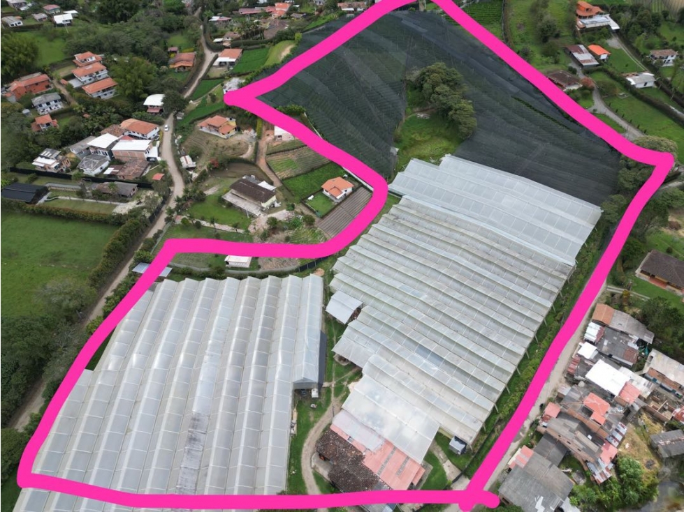 Vendo 33.000 m² de Tierra en Oriente Antioqueño, montada en floricultu — foto 2