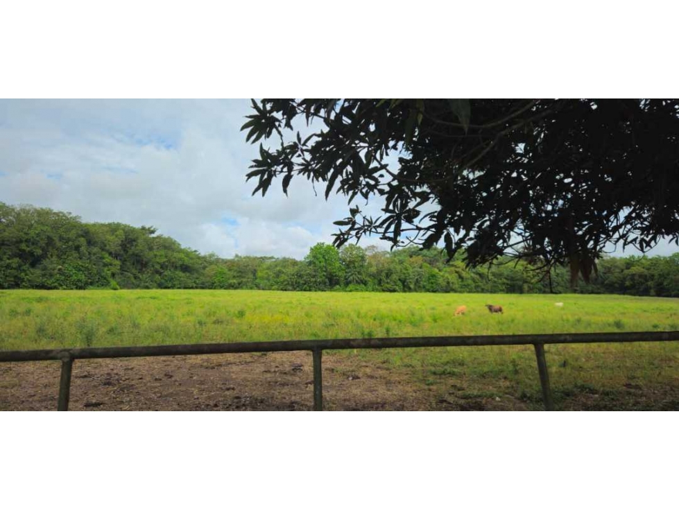 VENDO 37 HAS EN ORIENTE CHIRIQUÍ - 6