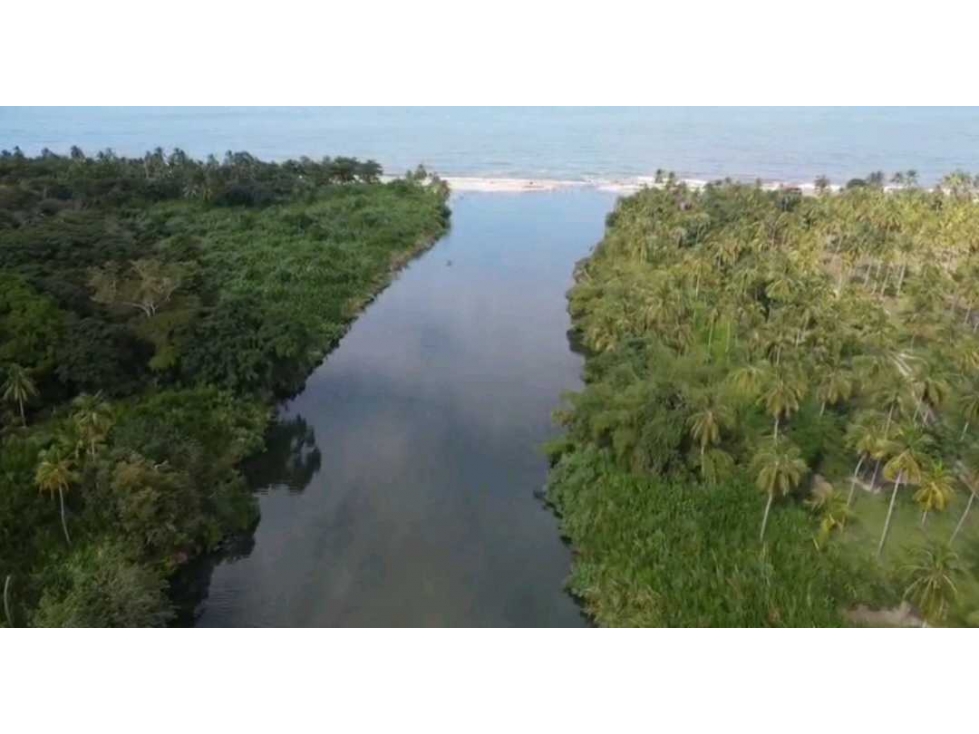 Vendo lotes +mar + rio + naturaleza en Mendihuaca, Santamarta