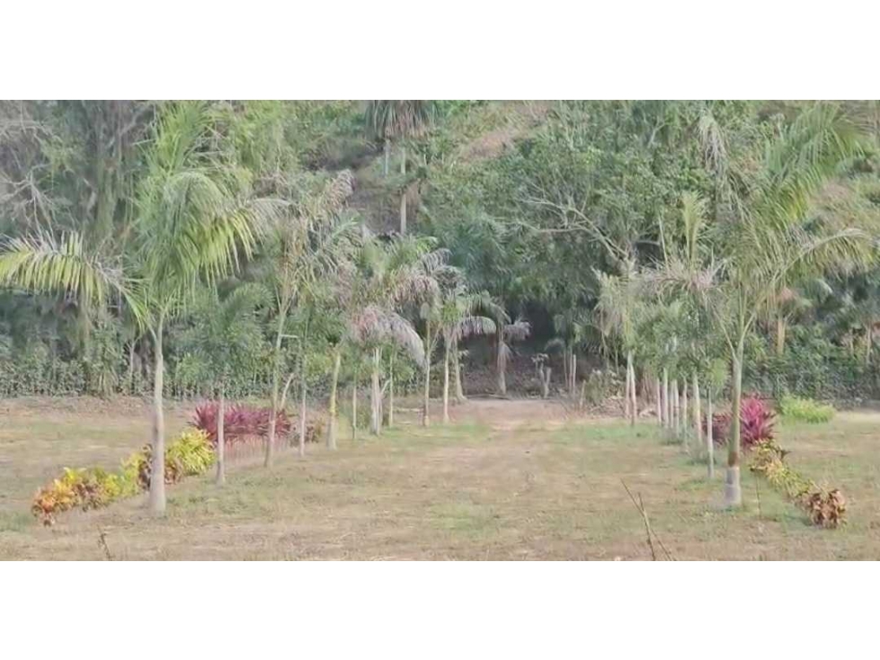 Vendo lotes +mar + rio + naturaleza en Mendihuaca, Santamarta — foto 2