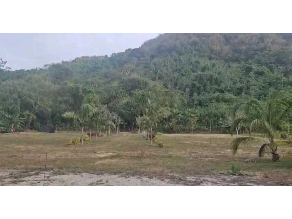 Vendo lotes +mar + rio + naturaleza en Mendihuaca, Santamarta — foto 3