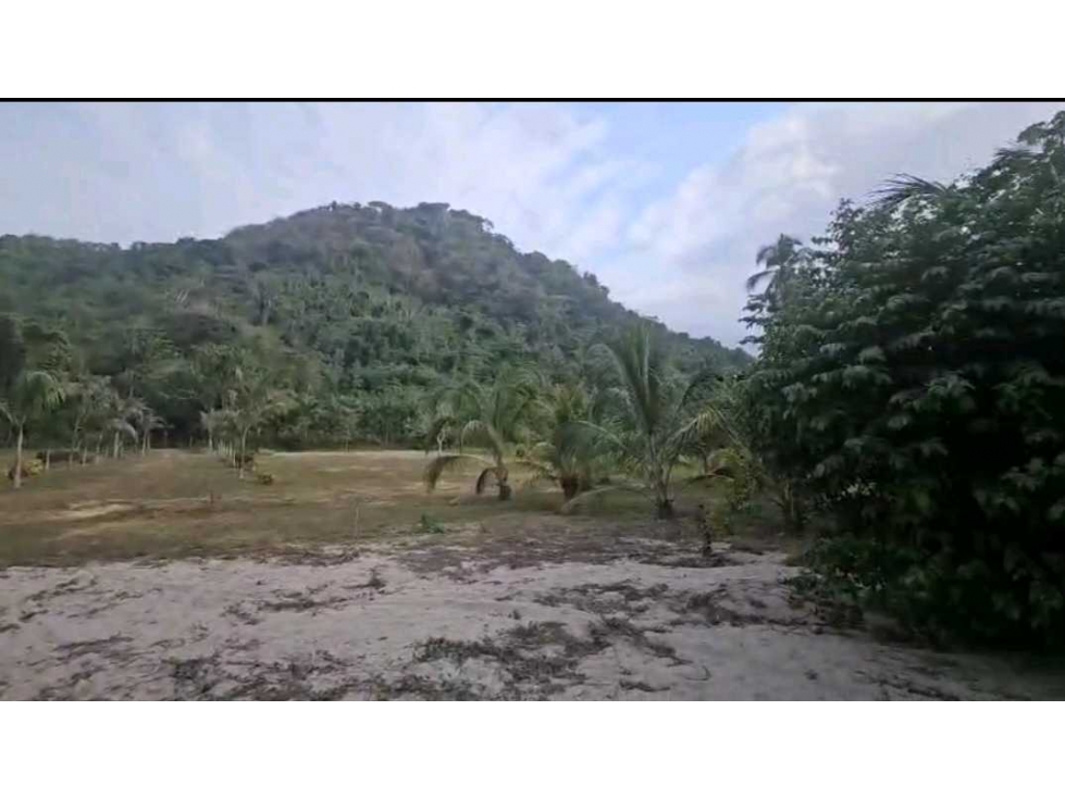 Vendo lotes +mar + rio + naturaleza en Mendihuaca, Santamarta — foto 4