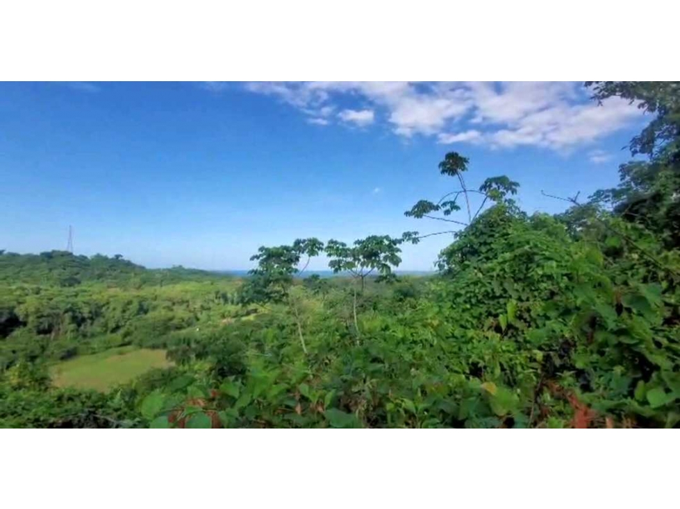 Vendo lotes +mar + rio + naturaleza en Mendihuaca, Santamarta — foto 5