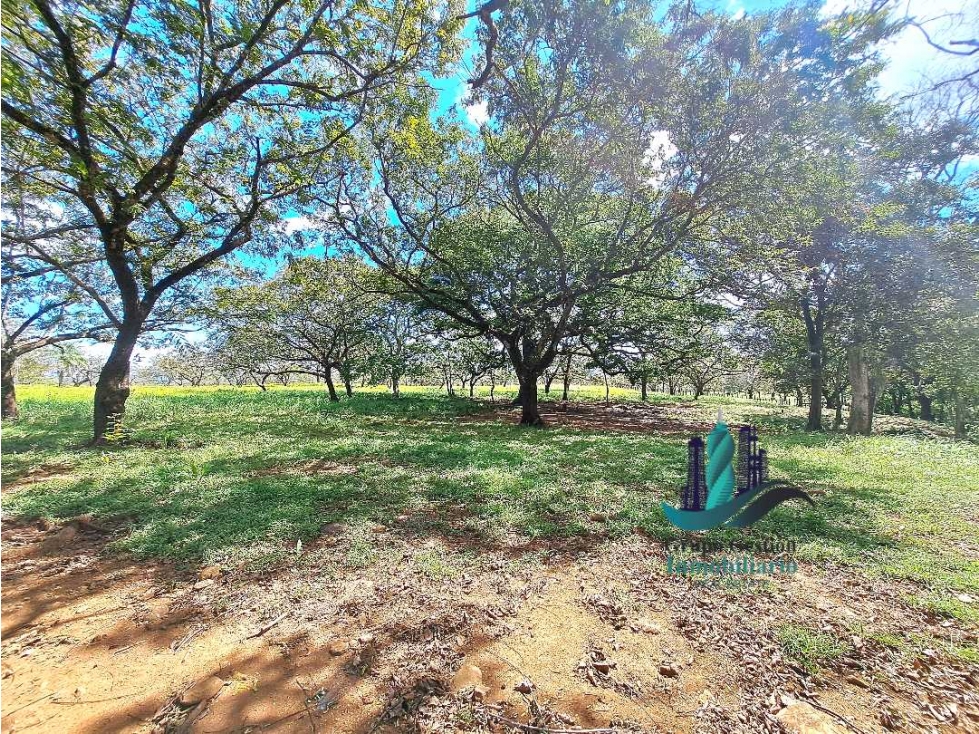 VENDO 40 HECTAREAS PLANAS CON RIO SAN LORENZO - 2