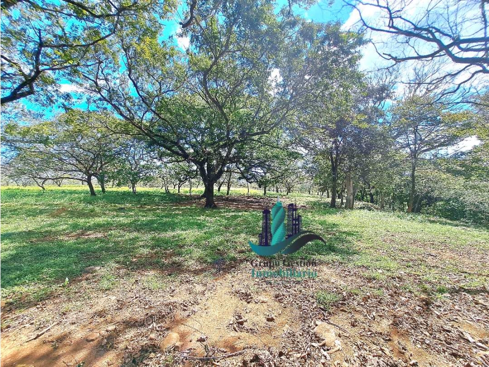 VENDO 40 HECTAREAS PLANAS CON RIO SAN LORENZO - 3
