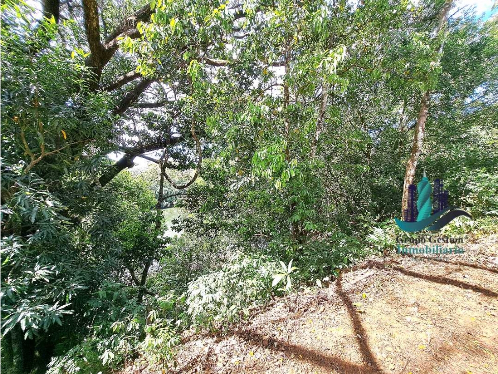 VENDO 40 HECTAREAS PLANAS CON RIO SAN LORENZO - 5
