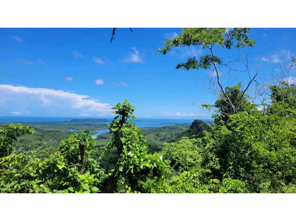 VENDO 458Ha CON MANGLAR Y AGUA DULCE. - 1