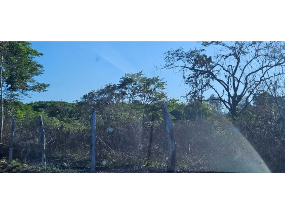VENDO 4.5 HAS EN CHIRIQUÍ - 2