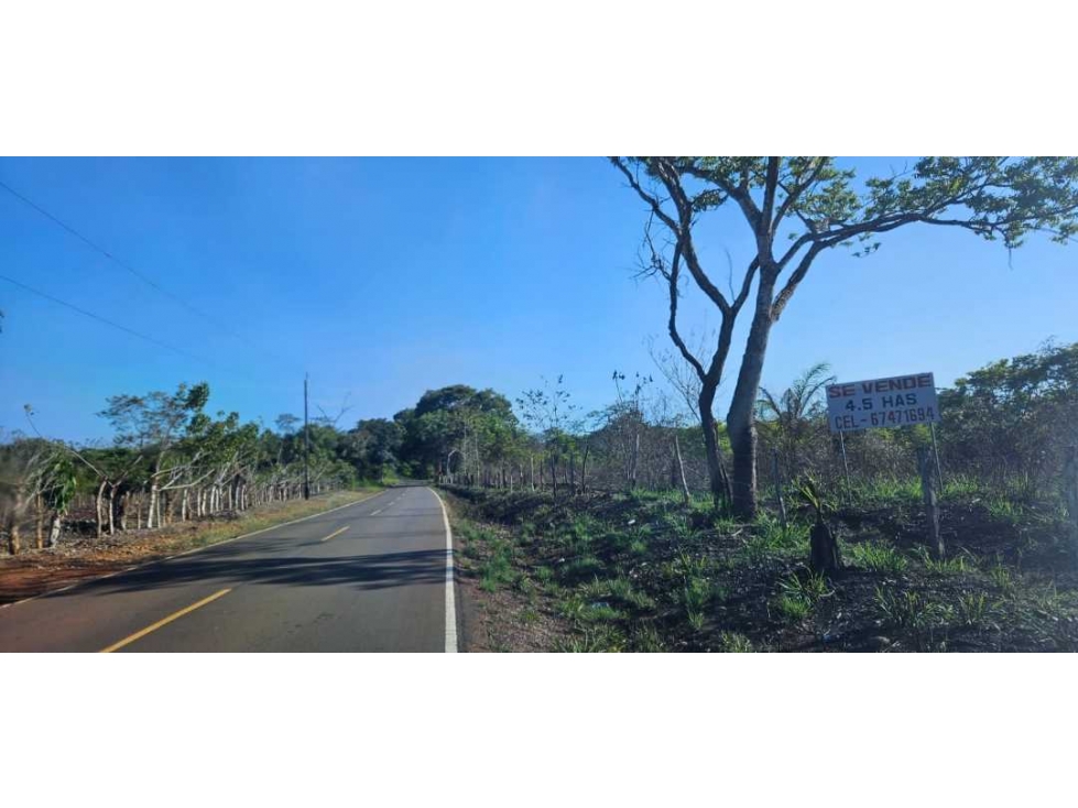VENDO 4.5 HAS EN CHIRIQUÍ - 3