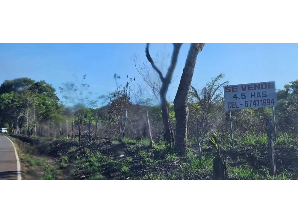 VENDO 4.5 HAS EN CHIRIQUÍ - 4