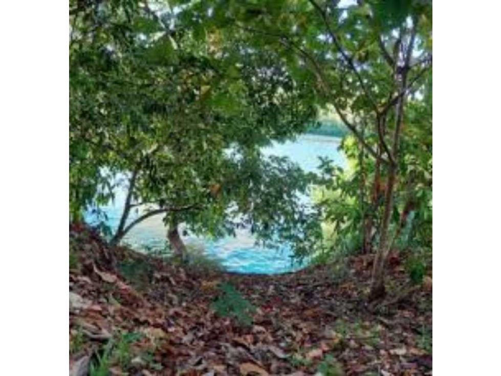 VENDO 4.5 HAS EN CHIRIQUÍ - 5