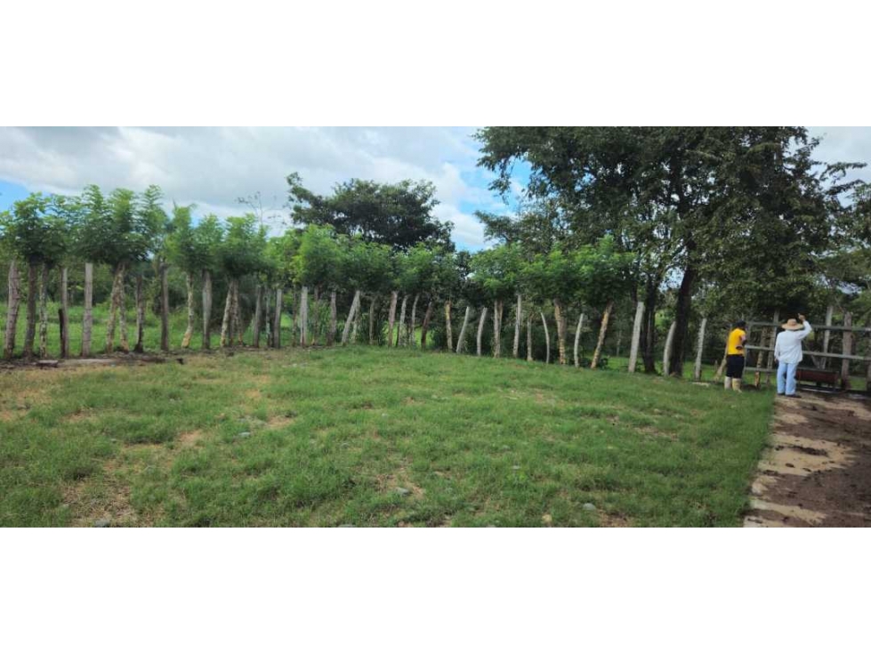 VENDO 47 HECTAREAS CON MANGAS ELECTRICA - 2