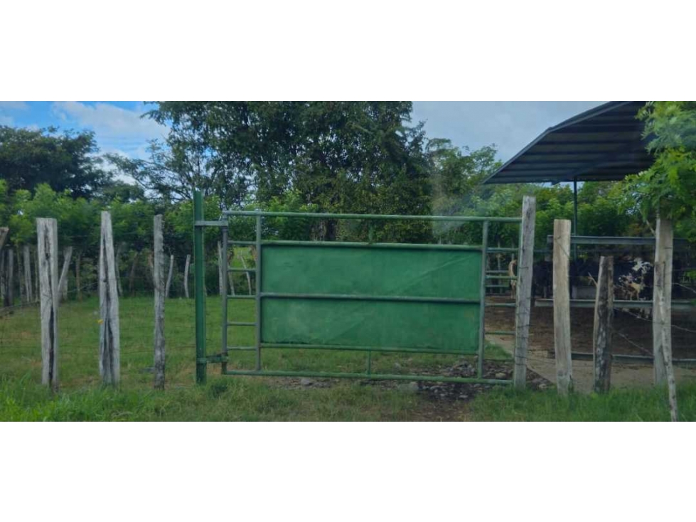 VENDO 47 HECTAREAS CON MANGAS ELECTRICA - 4